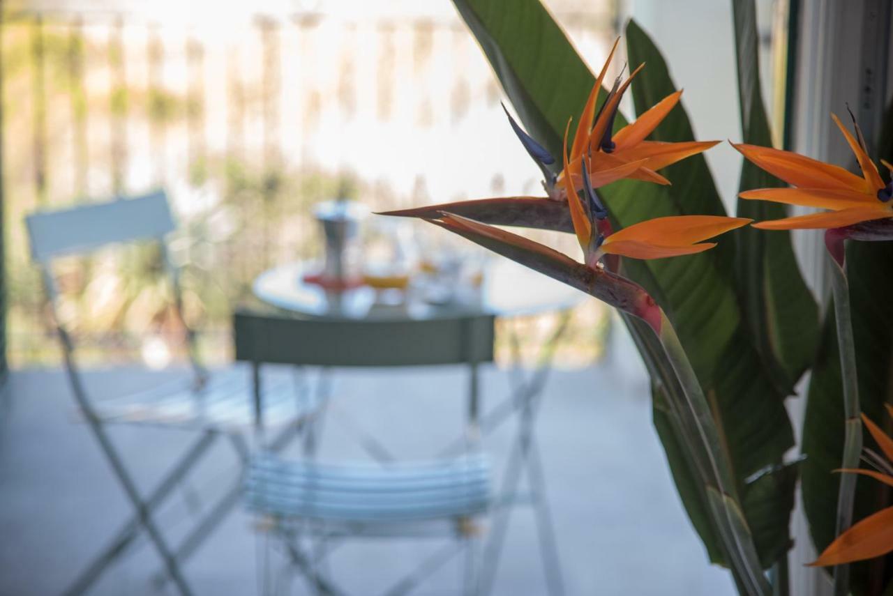 La Strelitzia Cervo Mare公寓 外观 照片